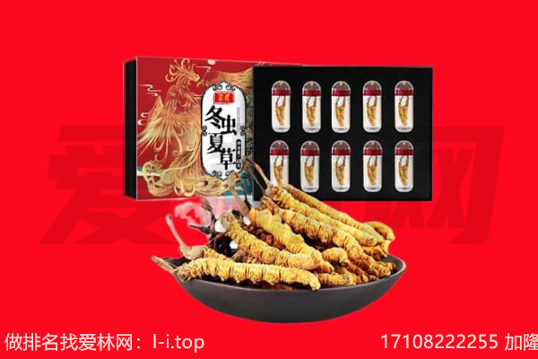 宁德市回收虫草.jpg